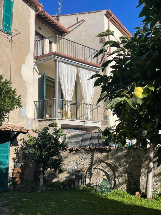 Lo Studio Di Gabriella Bolsena Kültér fotó